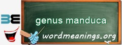 WordMeaning blackboard for genus manduca